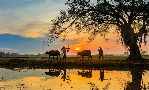 Cho Tổ quốc bình yên