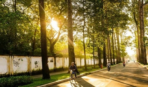 Nứt toang màu nắng