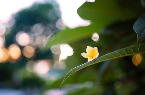 Xin bình yên