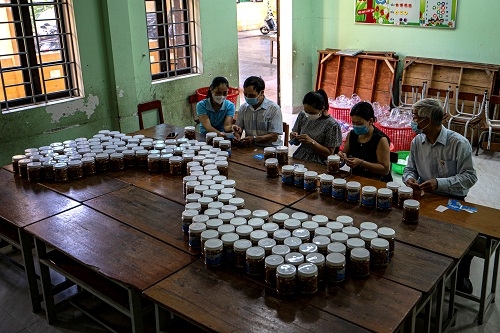 Chùm ảnh NSNA Hoàng Văn Phước