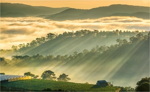 Bản hòa ca ngẫu hứng