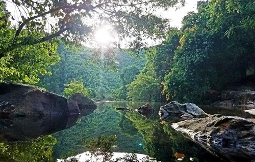 Mùi hương trở dạ