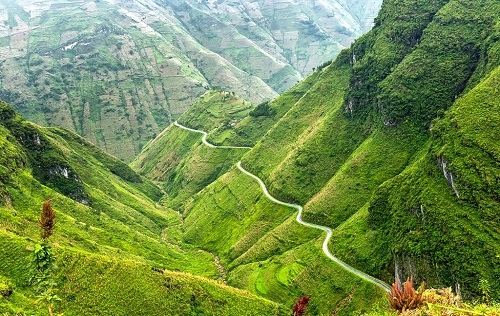 Chùm thơ Đức Sơn