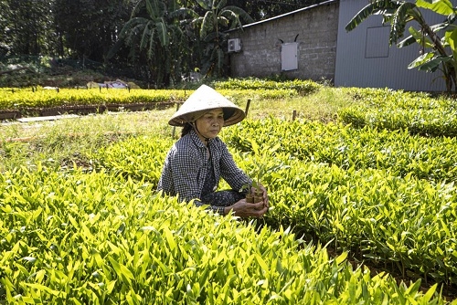 Chùm ảnh NSNA Hoàng Văn Phước