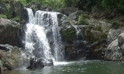 Phong Mỹ ngày mới