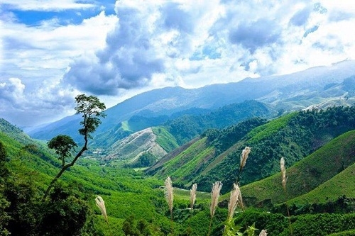 Có thương nhau thì về