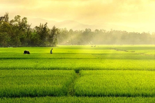 Mùa màng