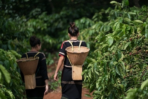 Tứ tuyệt Ban Mê