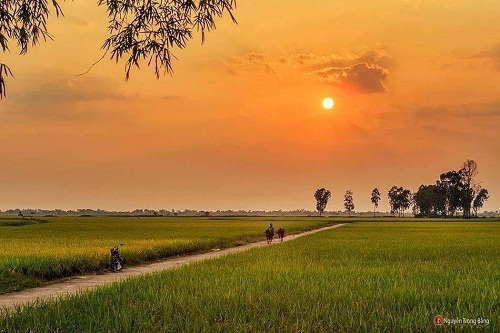 Về thăm quê